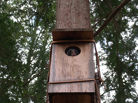 musasabi02subako190803