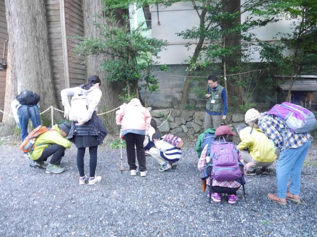 ムササビ観察会